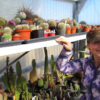 It’s a BLOOMING Cactus Paradise in the Greenhouse this Spring